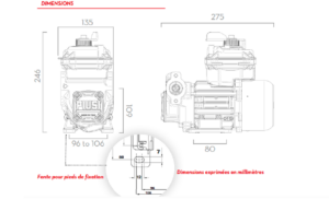 POMPE-ATEX-PIUSI-PANTHER-EX-DC-230-CARBURANT-50L