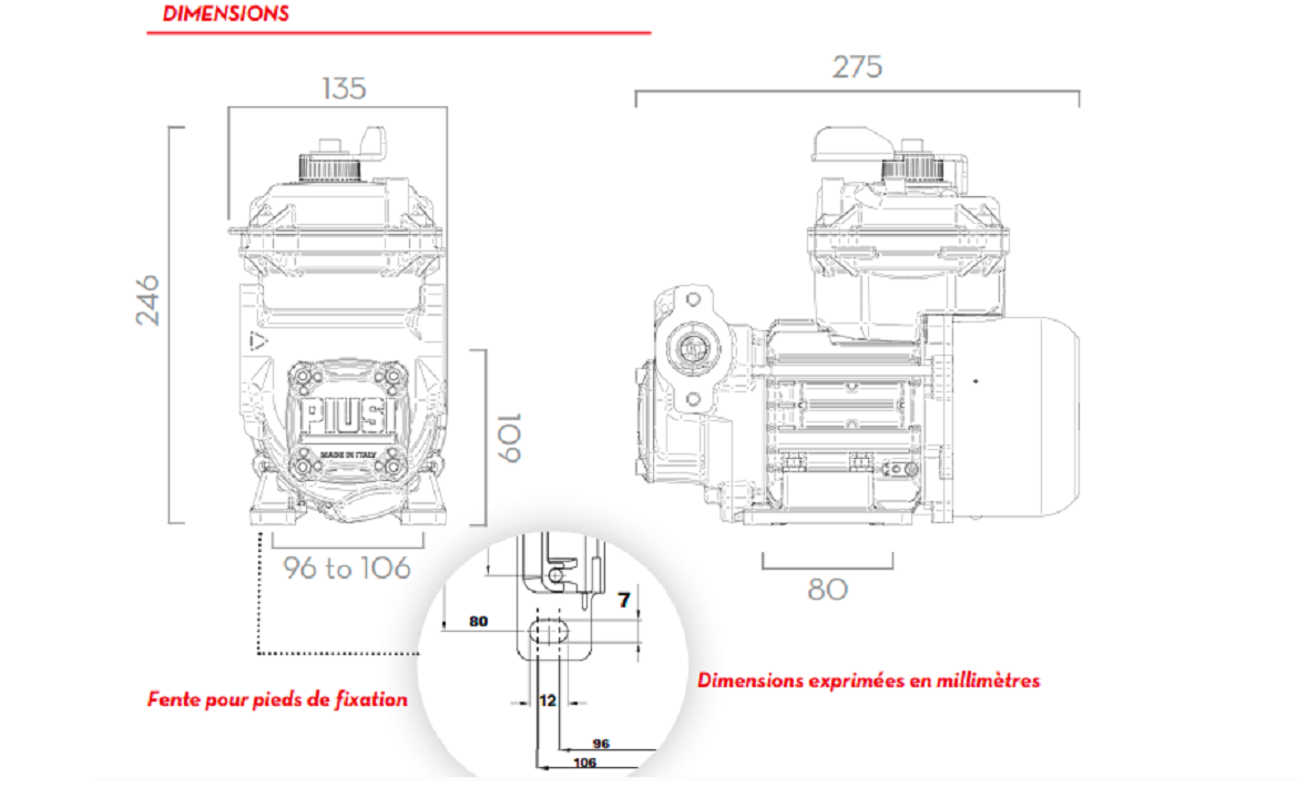 POMPE-ATEX-PIUSI-PANTHER-EX-DC-230-CARBURANT-50L